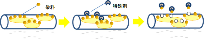 図：染色加工のイメージ