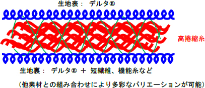 図：生地断面のイメージ