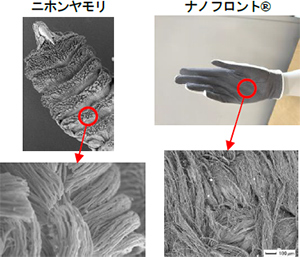 図：「ナノフロント®」と生物の脚先