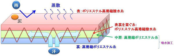 図：生地断面構造イメージ