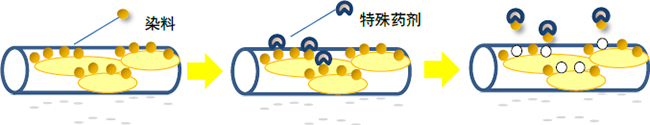 染色加工的概念图