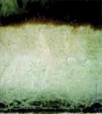 图片：NANOFRONT™过滤袋