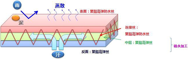 图：面料断面结构示意图