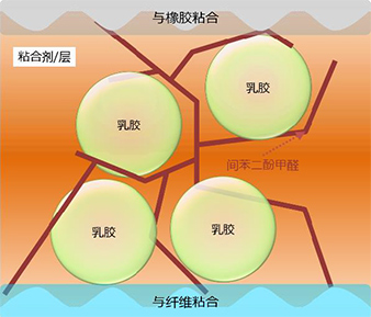 图：RFL粘合剂示意图
