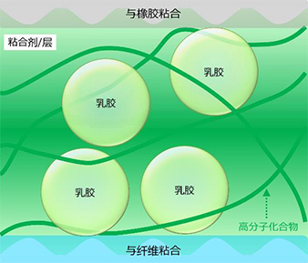 图：此次研 发 的粘合 剂 示意 图