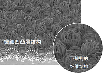 照片：新面料