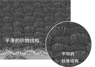 照片：普通聚酯面料