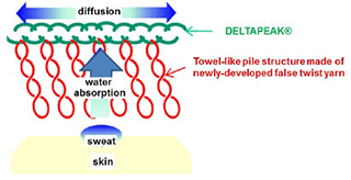 Figure: Cross-sectional image