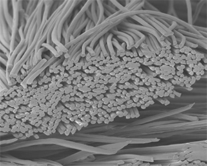 Photo: SOLOTEX® Nanofiber