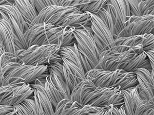 Photo: New SOLOTEX material