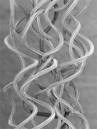 Photo: SOLOTEX OCTA Filament(1)