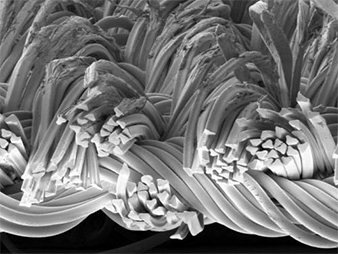 Photo: Fabricated surface cross section